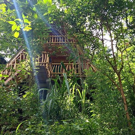 Eco Village إيلا المظهر الخارجي الصورة