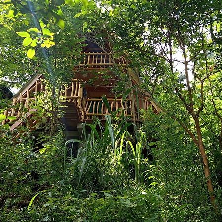 Eco Village إيلا المظهر الخارجي الصورة