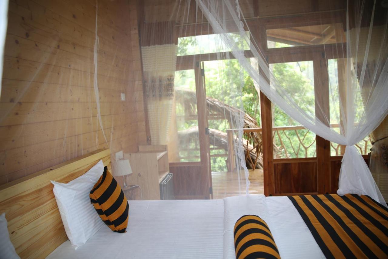 Eco Village إيلا المظهر الخارجي الصورة