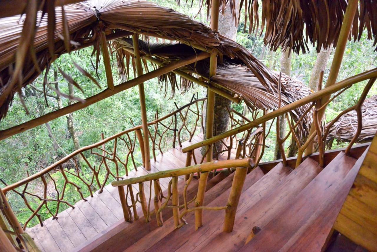 Eco Village إيلا المظهر الخارجي الصورة