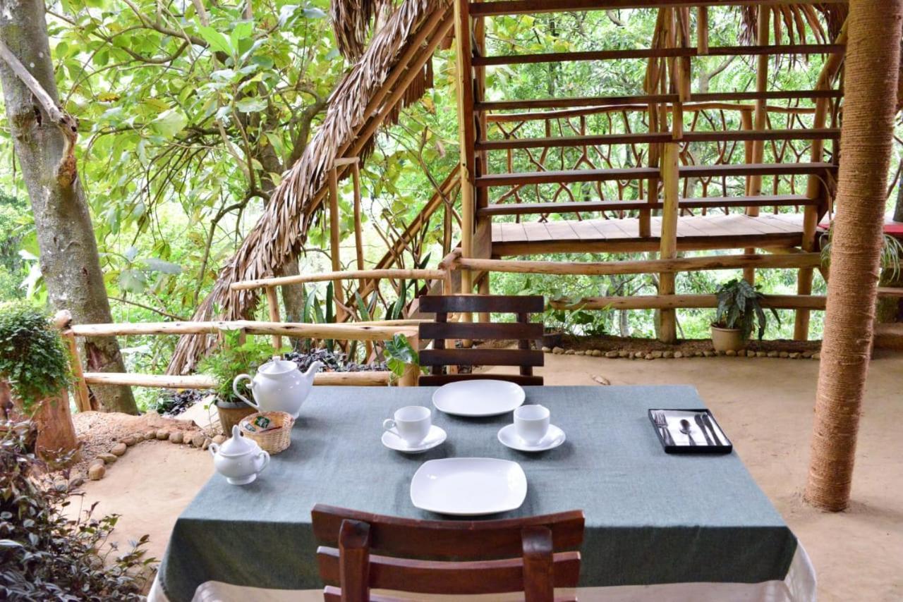 Eco Village إيلا المظهر الخارجي الصورة
