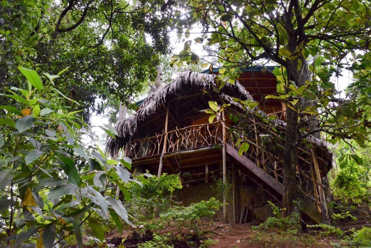 Eco Village إيلا المظهر الخارجي الصورة