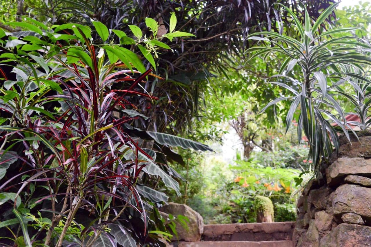 Eco Village إيلا المظهر الخارجي الصورة