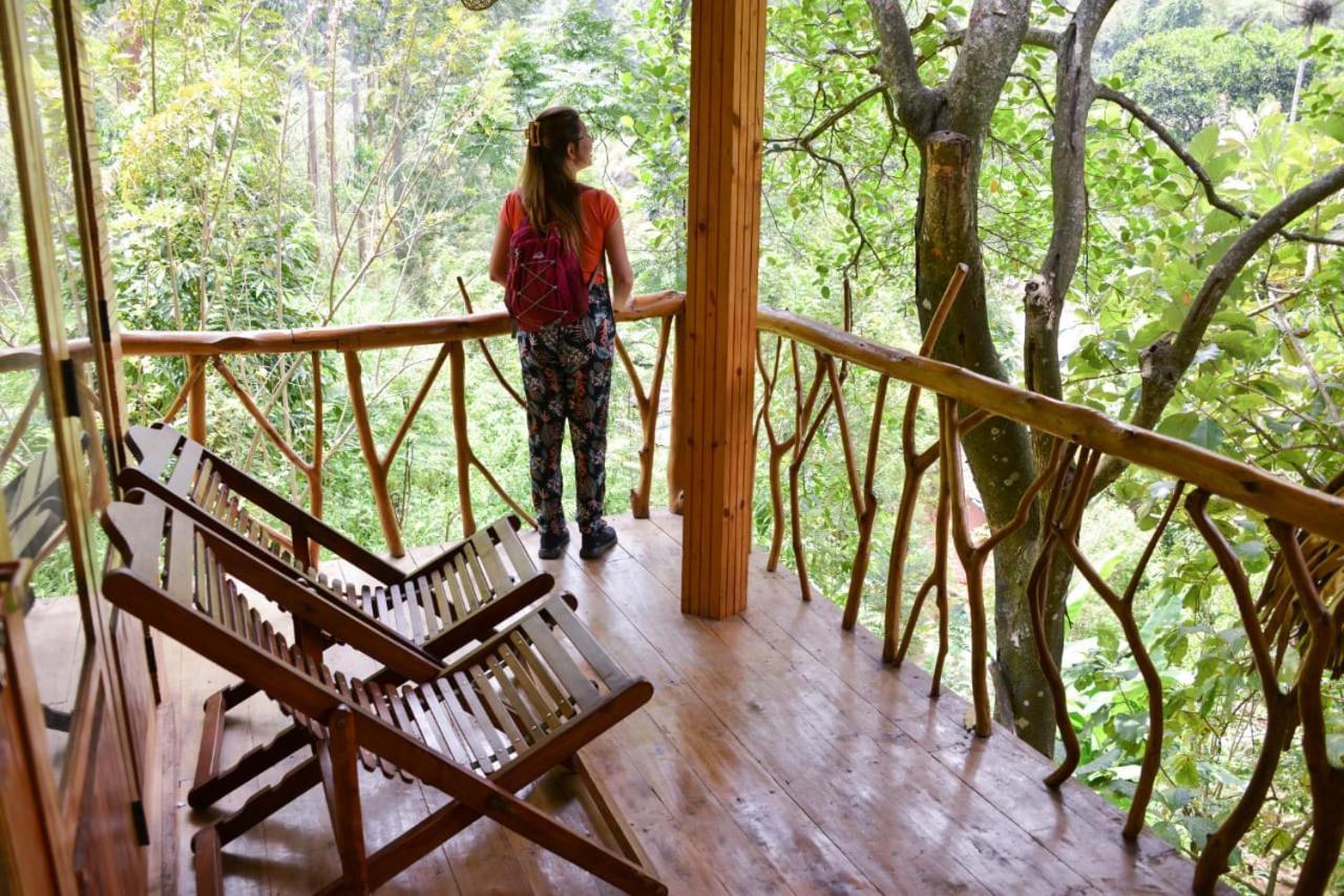 Eco Village إيلا المظهر الخارجي الصورة