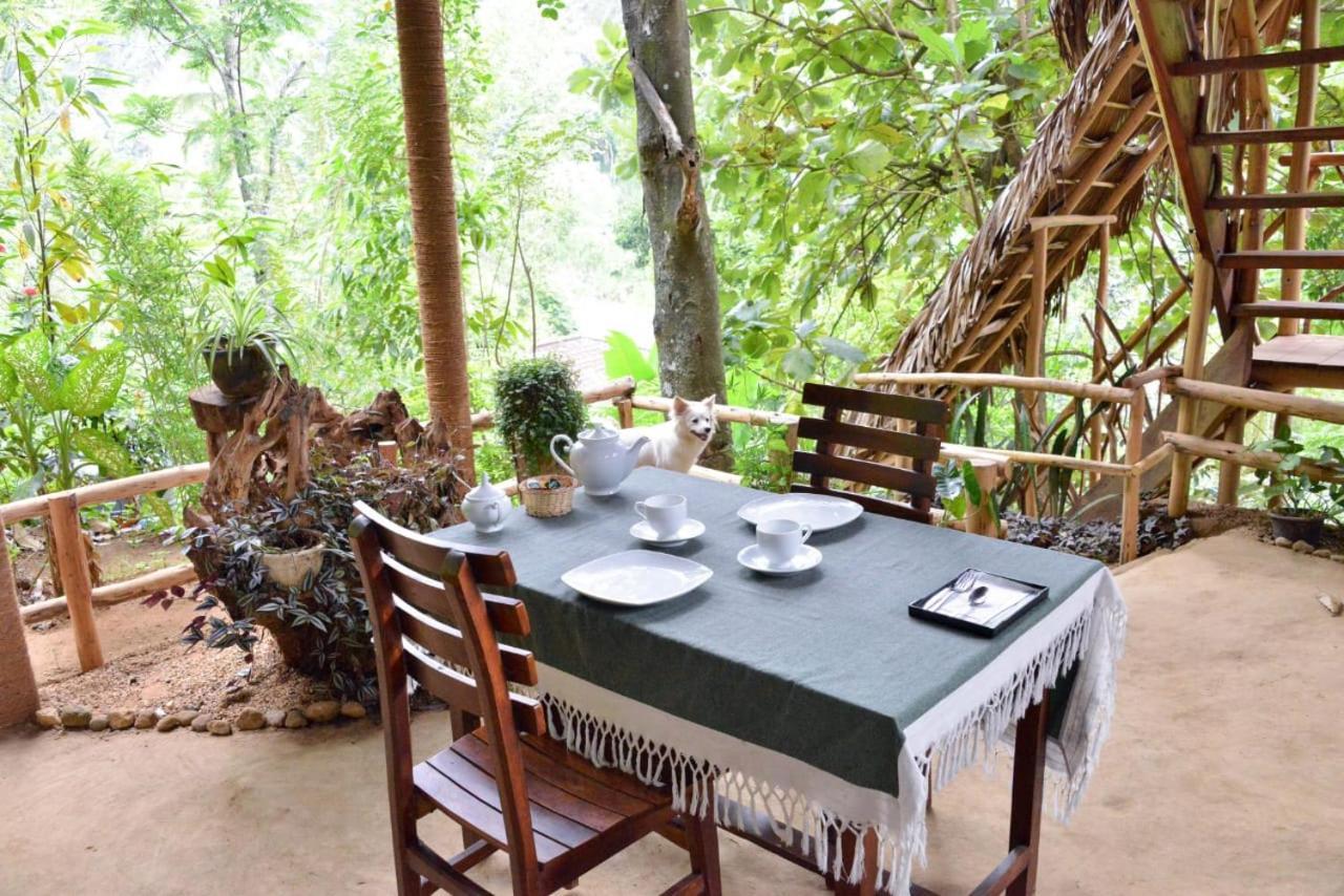 Eco Village إيلا المظهر الخارجي الصورة