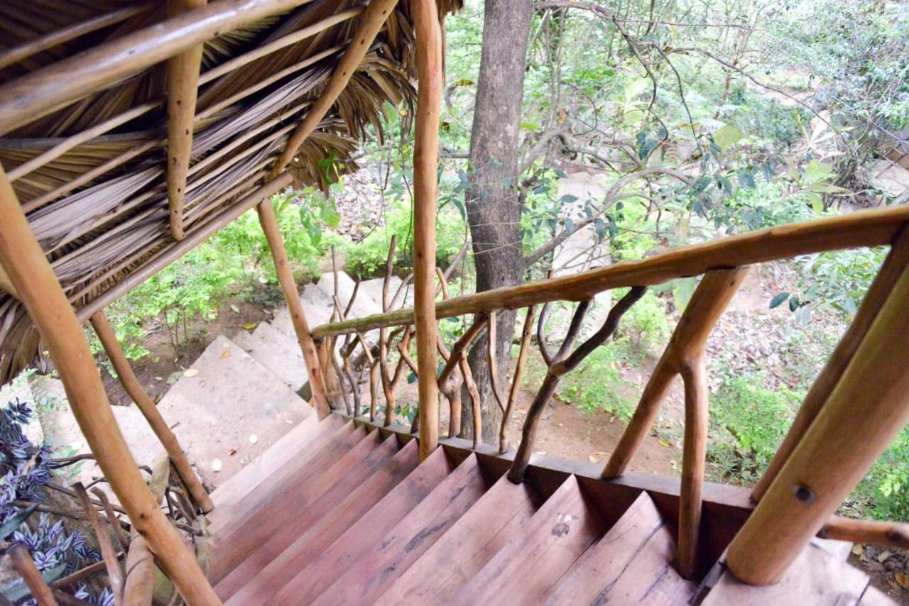 Eco Village إيلا المظهر الخارجي الصورة