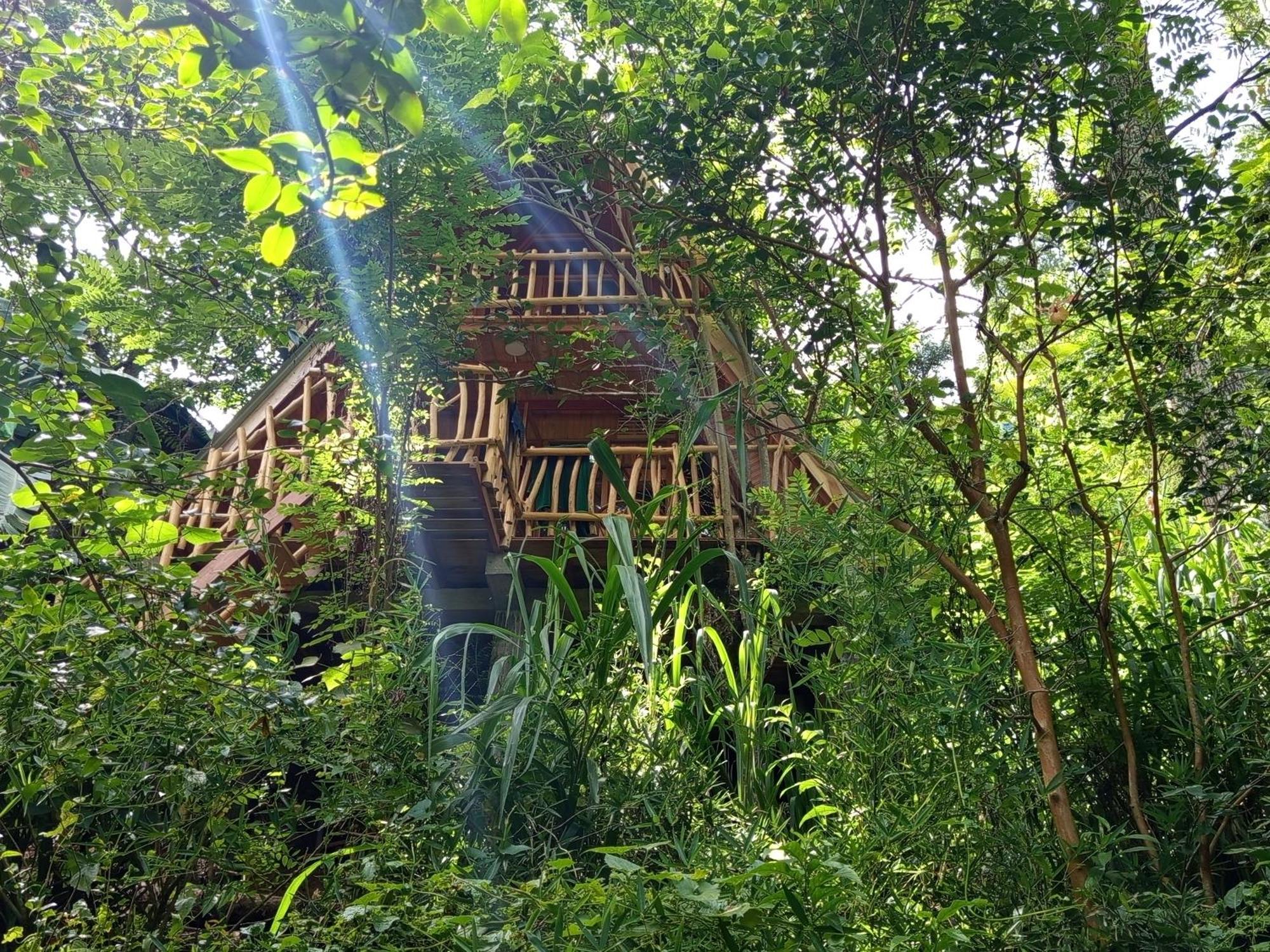 Eco Village إيلا المظهر الخارجي الصورة