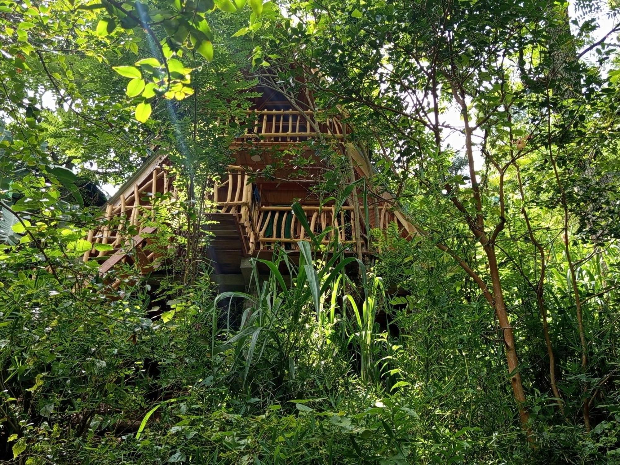 Eco Village إيلا المظهر الخارجي الصورة