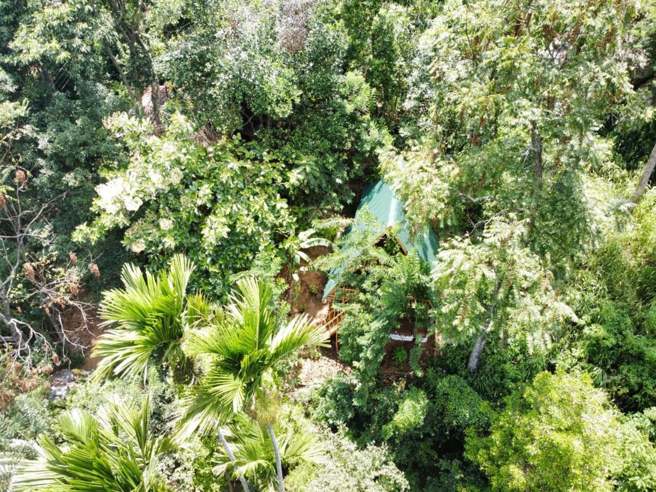 Eco Village إيلا المظهر الخارجي الصورة