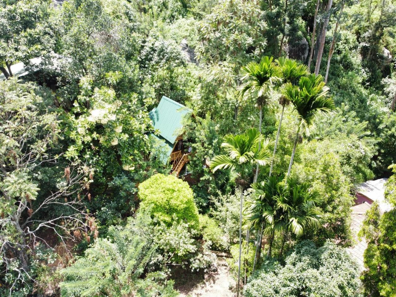 Eco Village إيلا المظهر الخارجي الصورة