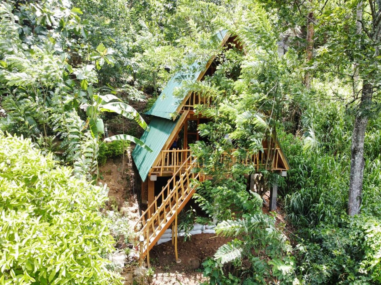 Eco Village إيلا المظهر الخارجي الصورة