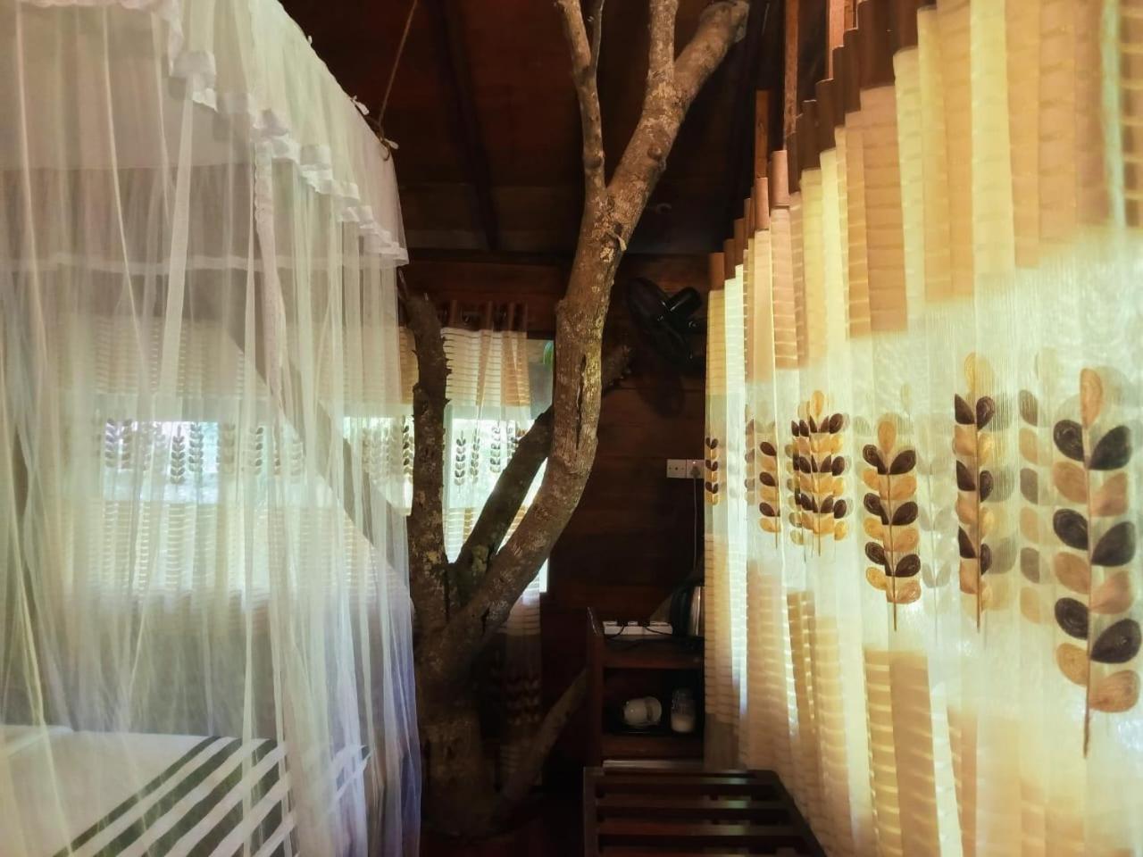 Eco Village إيلا المظهر الخارجي الصورة