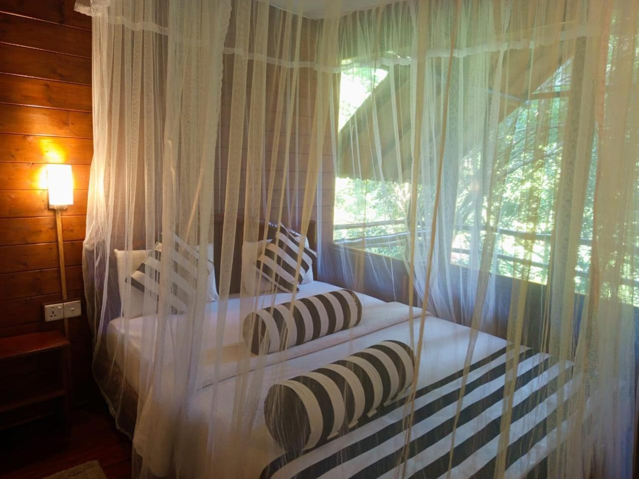 Eco Village إيلا المظهر الخارجي الصورة