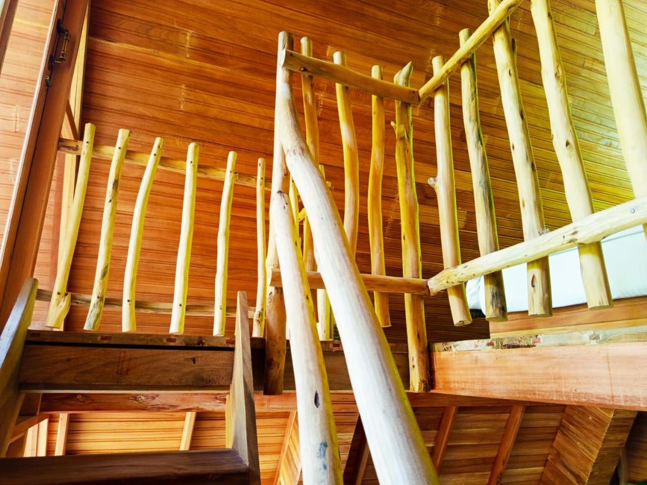 Eco Village إيلا المظهر الخارجي الصورة